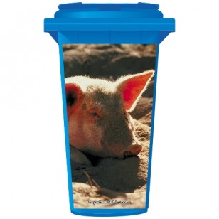 Pig In The Sand Wheelie Bin Sticker Panel